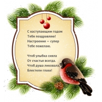С наступающим годом Тебя поздравляю!