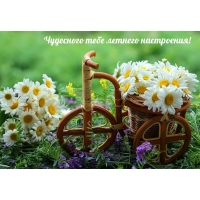 Чудесного тебе летнего настроения!