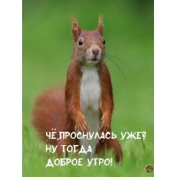 Чё,проснулась уже? Ну тогда доброе утро!