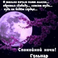 Гульнар, спокойной ночи!