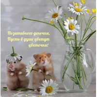 Позитивного денечка, Пусть в душе цветут цветочки!