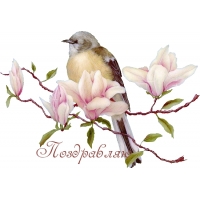 Поздравляю