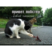 Давай пятюню