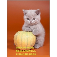 Прости меня, пожалуйста