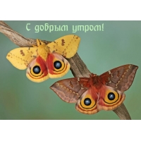 С добрым утром!