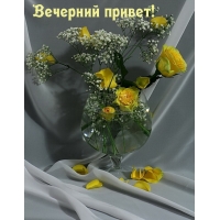 Вечерний привет!