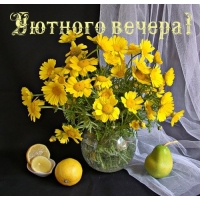 Уютного вечера!