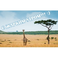 С жарким утром!