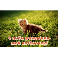 С днём рождения, мой котёночек!
