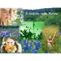 Я люблю тебя, Жизнь!