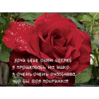 Я счастлива, что ты моя подружка