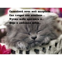 Спи сладко, тигренок…