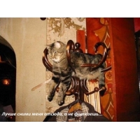 Лучше сними меня