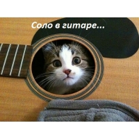 Соло в гитаре