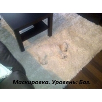 Маскировка. Уровень: Бог.