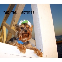 ГДЕ ТЫ,  ЛЕТО???
