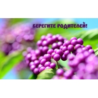 БЕРЕГИТЕ РОДИТЕЛЕЙ!
