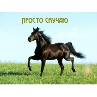 Просто скучаю