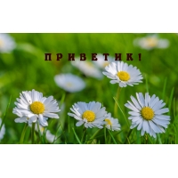 ПРИВЕТИК!