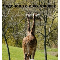 Двуглавое чудо юдо