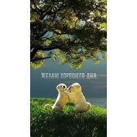 Желаю хорошего дня. от песиков