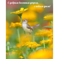 С добрым весенним утром, с новым днем!