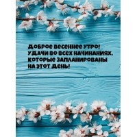 Доброе весеннее утро! Удачи во всех начинаниях