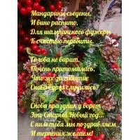 Снова праздник у ворот — Это Старый Новый год…