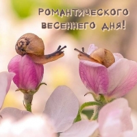 Романтического весеннего дня!