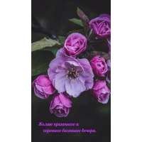 Желаю приятного и хорошего весеннего вечера.