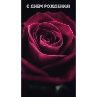 С днем рождения!