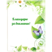Благодарю за внимание!
