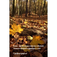 С добрым утром! Осень — время самых тёплых объятий