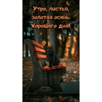 Утро, листья, золотая осень. Хорошего дня!