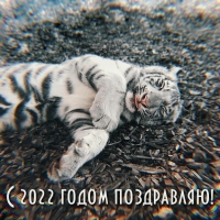 С 2022 годом поздравляю!