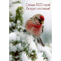 С новым 2022 годом! Он будет счастливым!