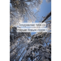 Поздравляю тебя со старым Новым годом!