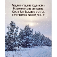 Желаю Вам большого счастья, в этот первый зимний день я!