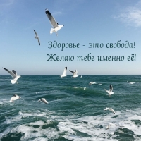 Здоровье — это свобода! Желаю тебе именно её!