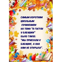 Сочинение «Мы приехали к бабушке, а она нам не открыла».