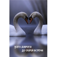 Всего доброго! До скорой встречи!