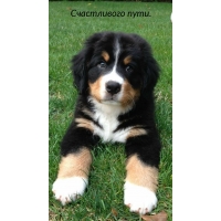 Счастливого пути.