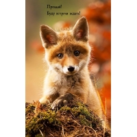 Прощай! Буду встречи ждать!