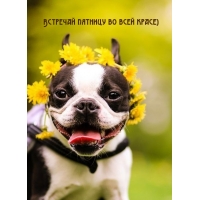 Встречай пятницу во всей красе)