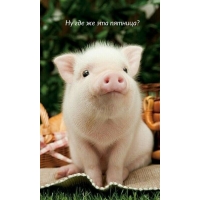 Ну где же эта пятница?