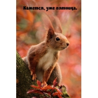 Кажется, уже пятница.