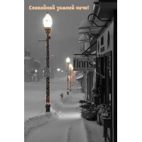 Спокойной зимней ночи!