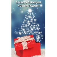 С наступающим новым годом