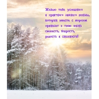 Желаю тебе успешного и приятного зимнего денька