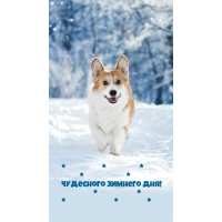 Чудесного зимнего дня!